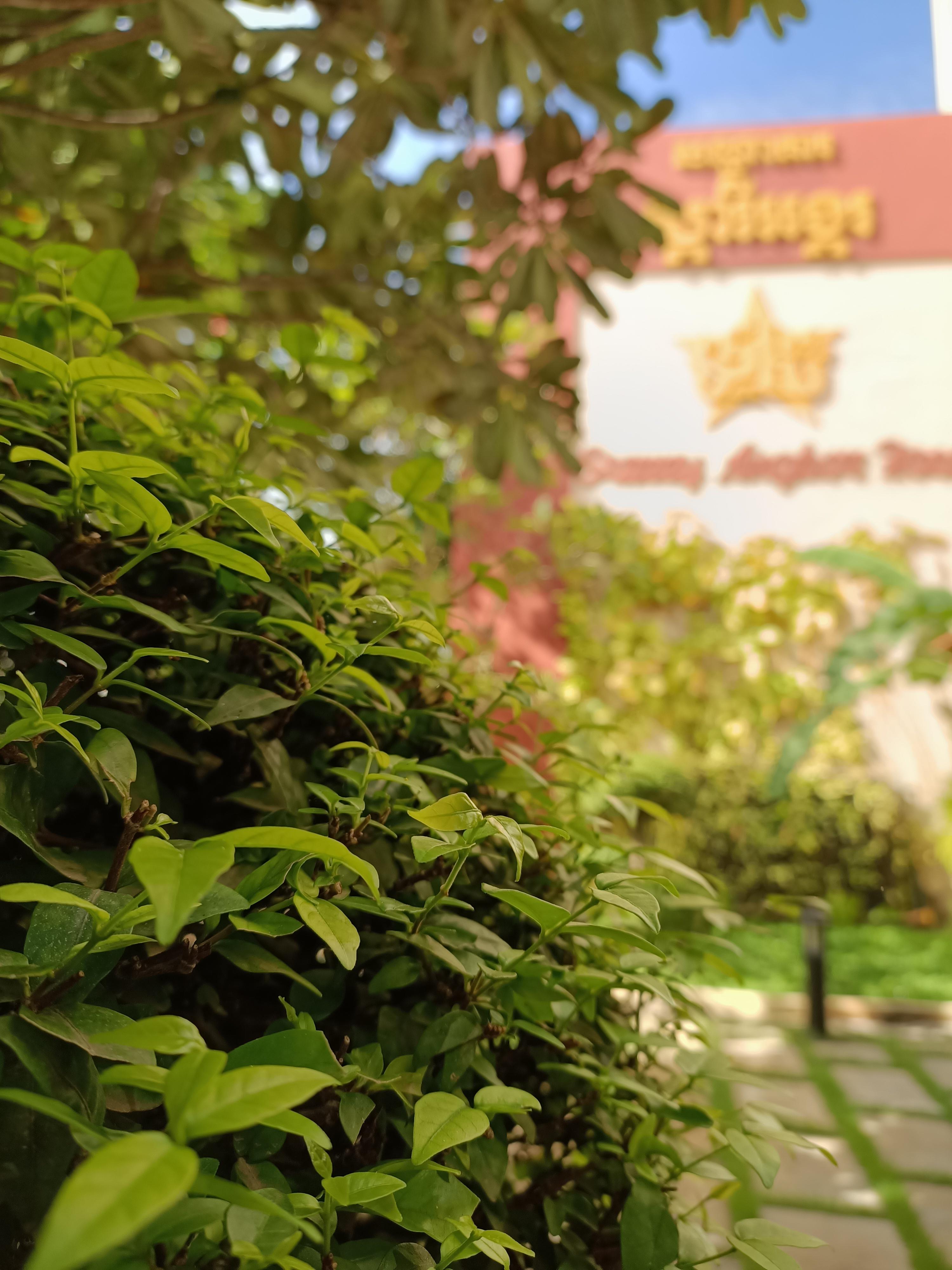 Starry Angkor Hotel Sziemreap Kültér fotó