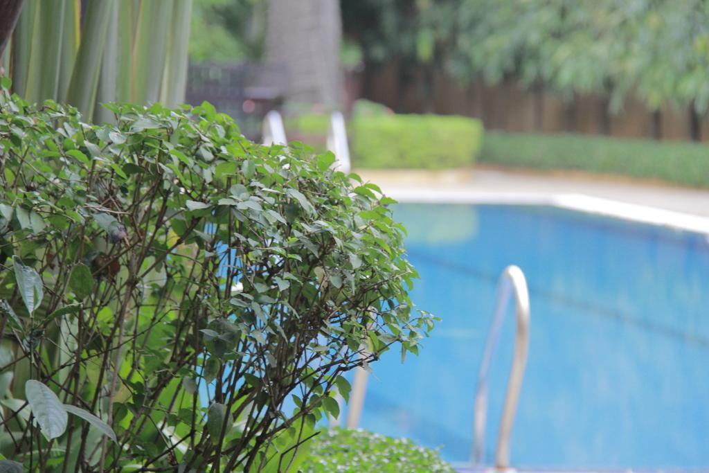 Starry Angkor Hotel Sziemreap Kültér fotó